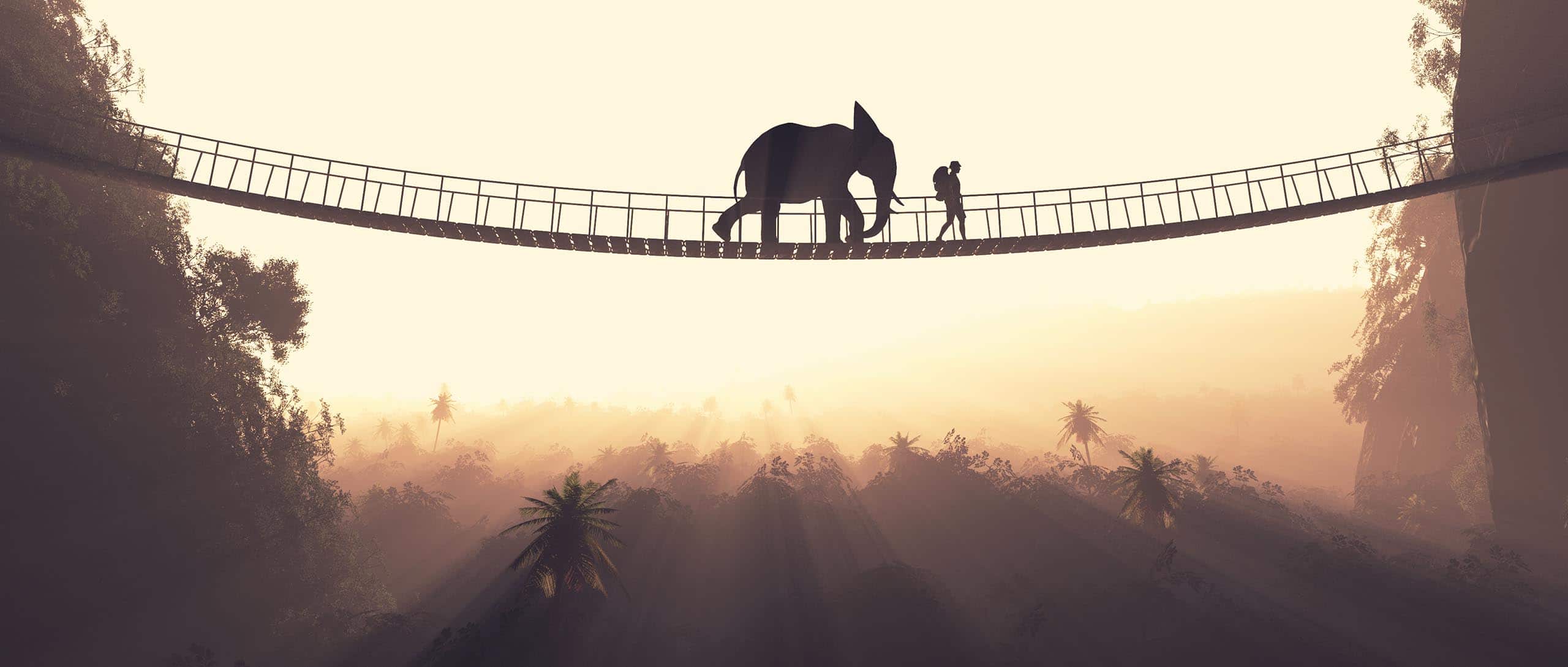 A person guides an elephant across a high bridge, symbolizing Chinook Multimedia's trusted project management and client supp