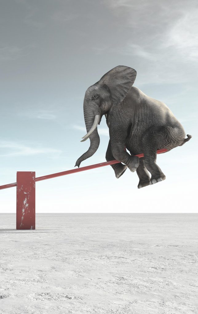 An elephant balances on a red beam, symbolizing the importance of business innovation and creative solutions for challenges.