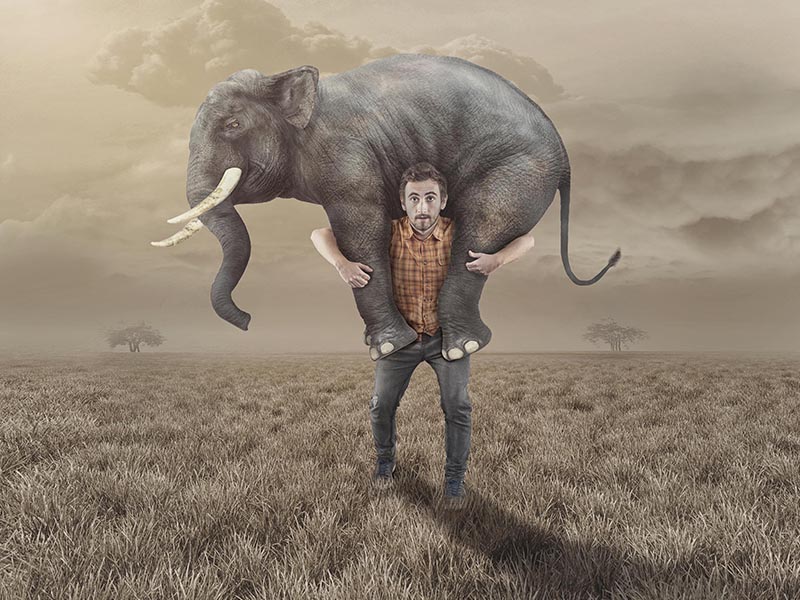 A man carries the heavy burden of a full-grown elephant on his shoulders, symbolizing managing a large, complex project.