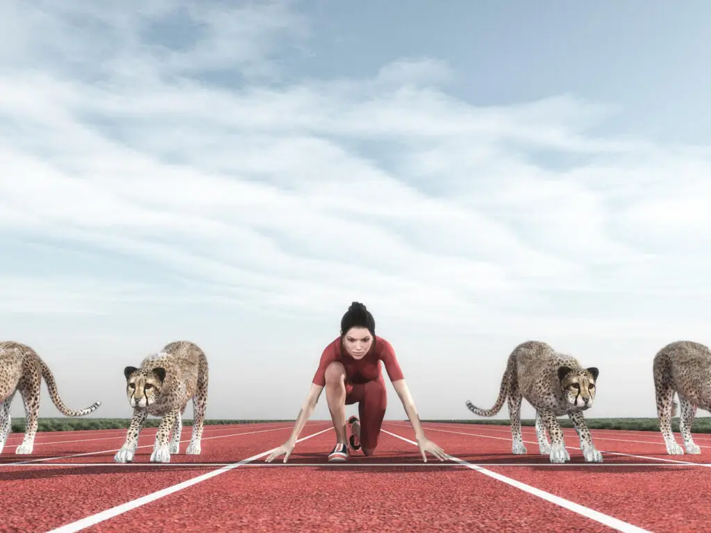 A woman in a sprinter's stance on a running track, ready to race against a line of powerful cheetahs, symbolizing competition