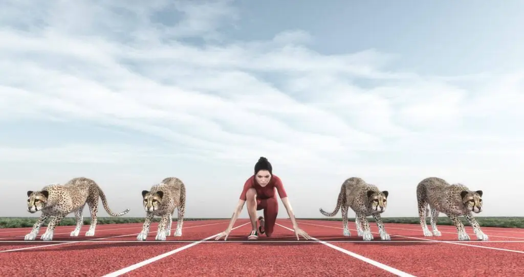 A woman in a runner's starting pose on a track, ready to race against four cheetahs, symbolizing intense business competition
